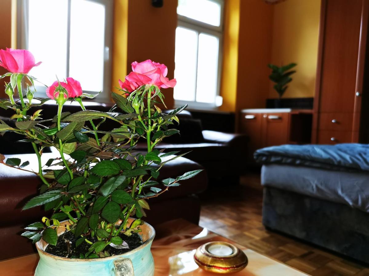 Lehel Apartman Keszthely Luaran gambar
